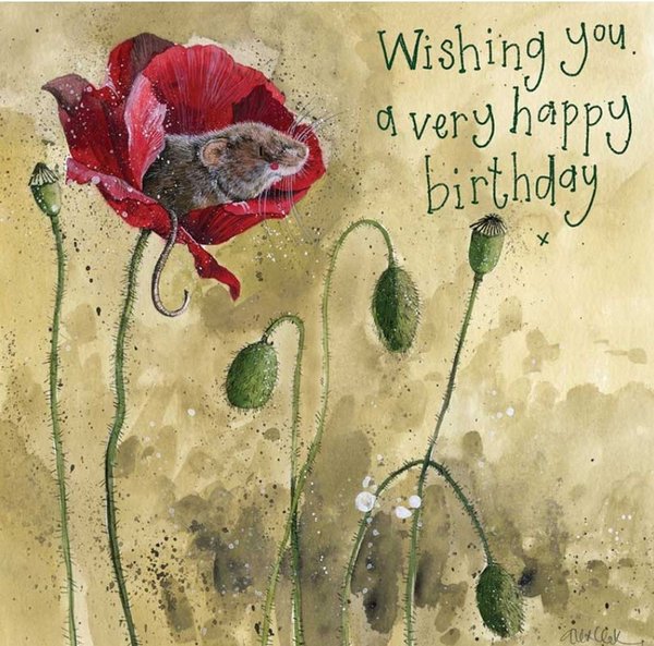 Alex Clark Happy Birthday Karte - Mouse & Poppy