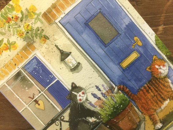 Alex Clark - Notizbuch Softcover - liniert - Katze im Garten