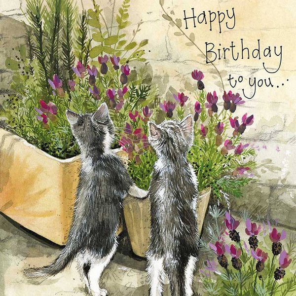 Alex Clark Geburtstagskarte - kleine Katzen - Lavendeltöpfe