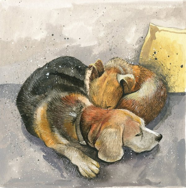 Alex Clark Grusskarte ohne Text - zwei schlafende Hunde